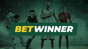 BetWinner Online Gaming Platform Your Gateway to Exciting Bets