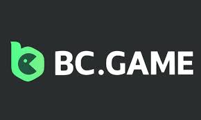 Understanding BC.Game KYC A Comprehensive Guide -796430606 Understanding BC.Game KYC A Comprehensive Guide -796430606