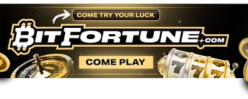 Bitfortune Live Casino A Complete Overview of the Ultimate Gaming Experience