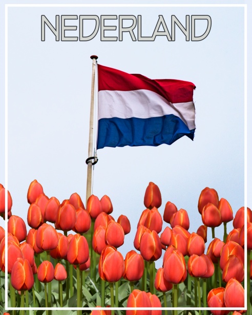 Ontdek de Wereld van Reizen met Bus en Tram 373791629