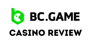 Comprehensive Overview of BC.Game Data Protection Policy