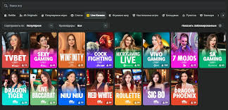 Comprehensive Overview of JB Casino Your Go-To Gaming Destination
