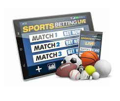 Discover the Thrills of Betting with BetWinner