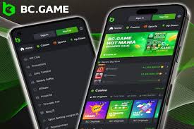 Exploring the Thrills of BC.Game Online Casino