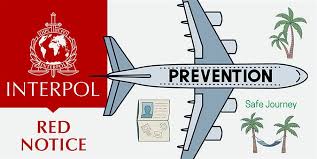 Understanding the Role of Interpol Defense Lawyers 1330321613