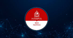 Understanding the Role of Interpol Defense Lawyers 1333513395