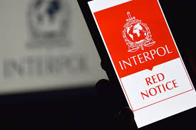 Understanding the Role of Interpol Defense Lawyers 1333513395