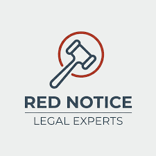 Understanding the Role of Interpol Defense Lawyers 1339942941