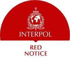 Understanding the Role of Interpol Defense Lawyers 1339942941