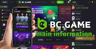 Unlocking the Excitement A Comprehensive Overview of the BC.Game Mobile App